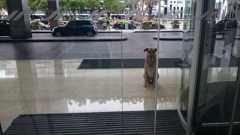 Rubio esperando a Olivia en la puerta del hotel