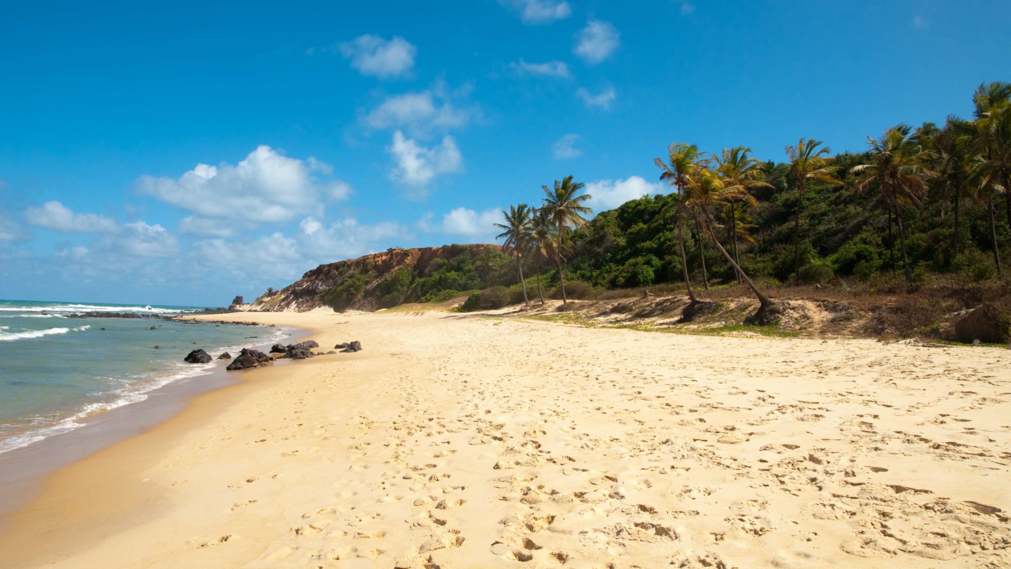 una playa con el mar de fondo