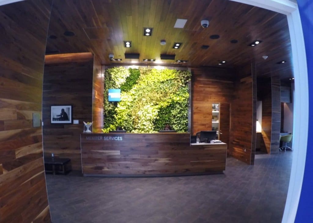 amex centurion lounge dfw