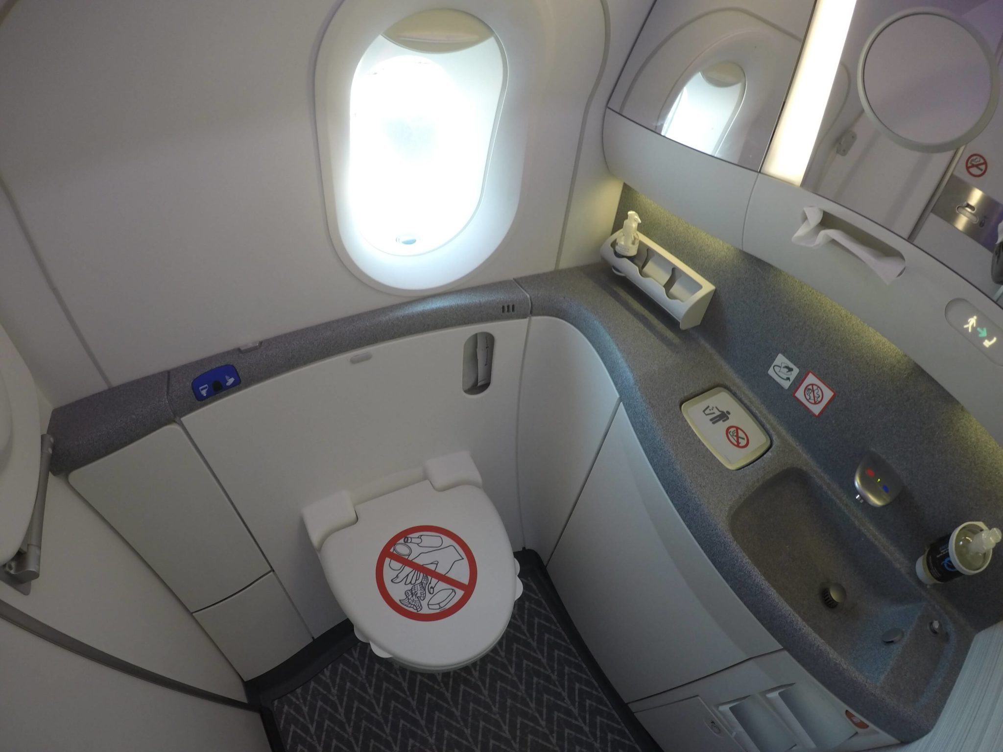 Lavabo Business Class Air Canada 787