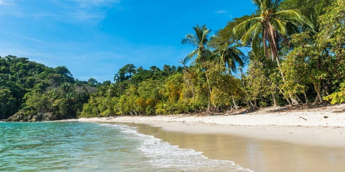 playa con vista al agua